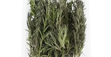 خرید آنلاین رزماری