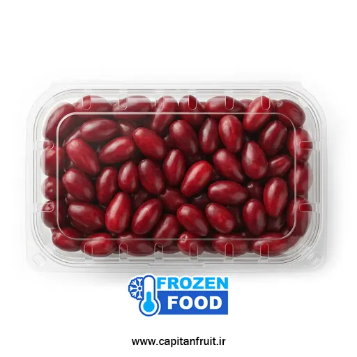 خرید آنلاین زغال اخته منجمد